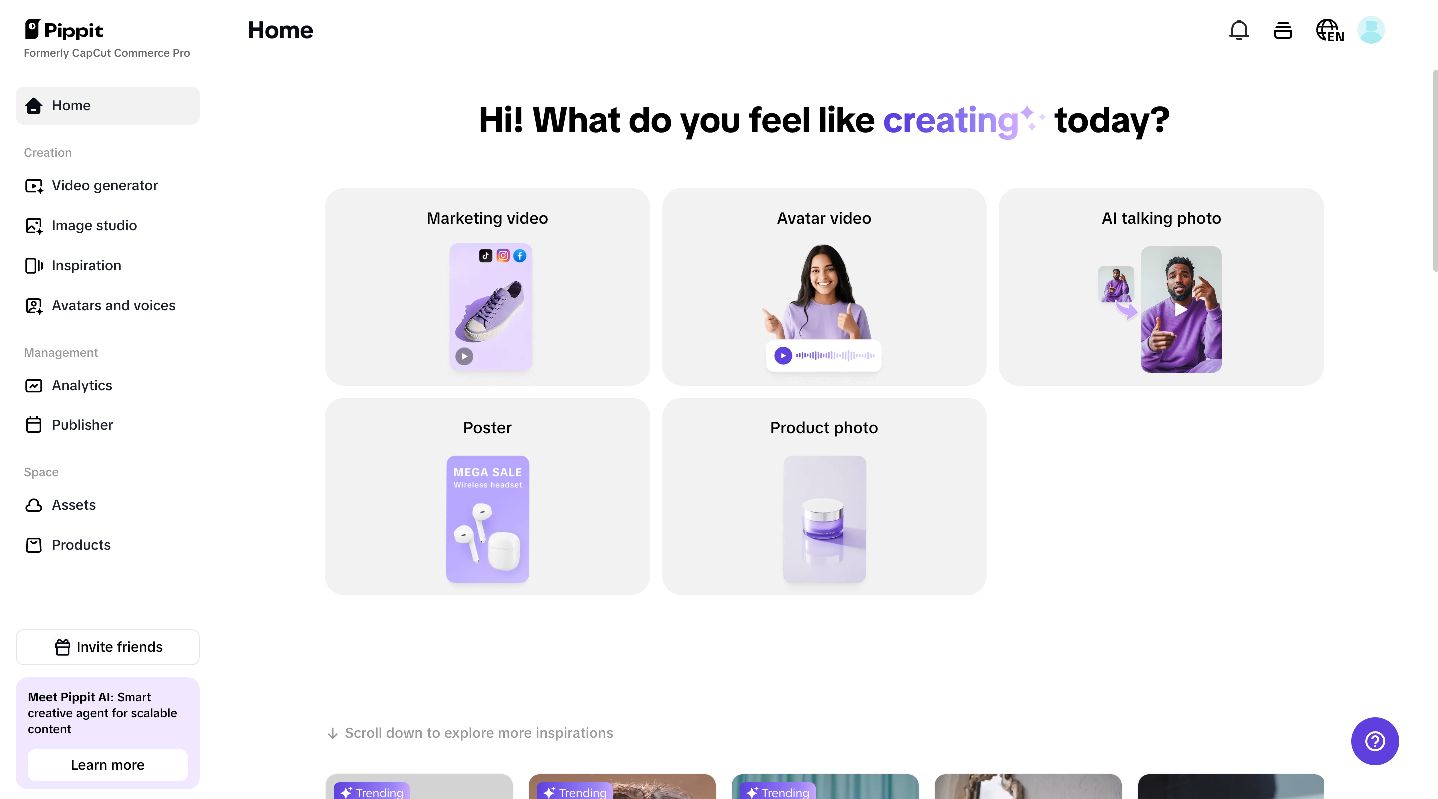 Pippit's homepage