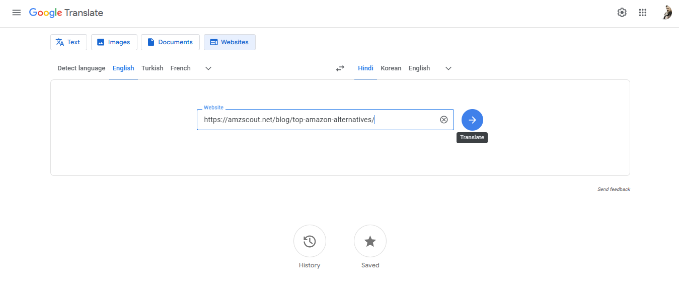 Input the site link to Google Translate to translate websites