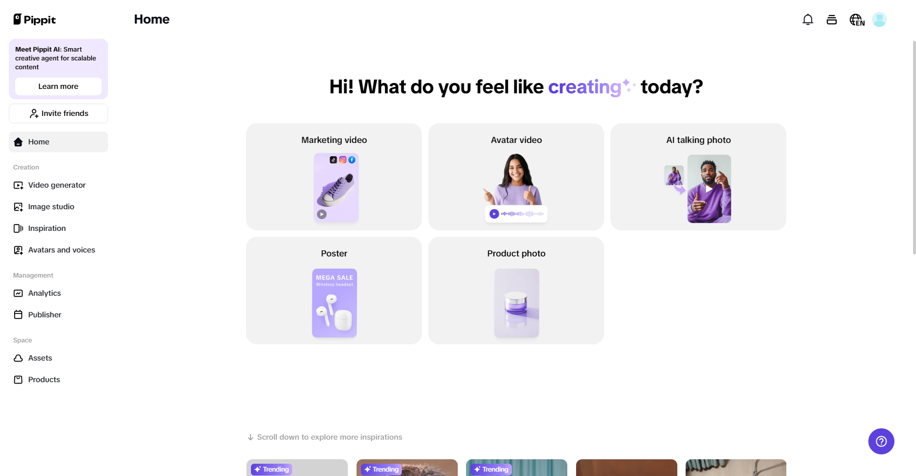Pippit homepage