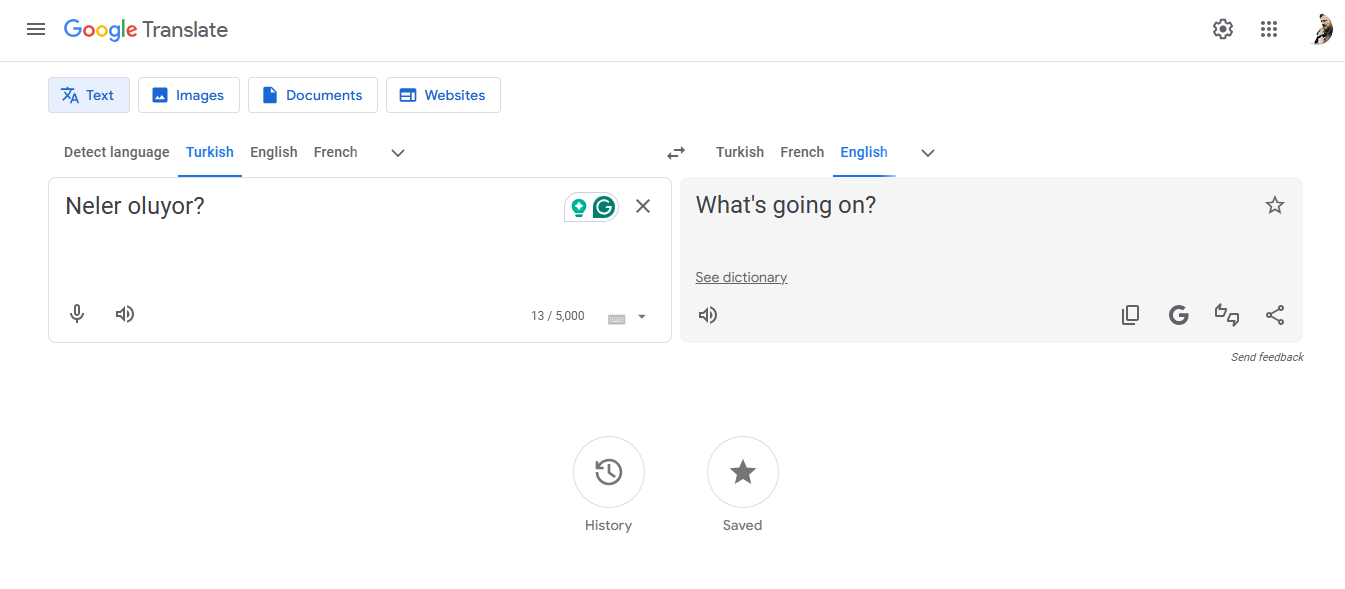 Input your Turkish text and translate it
