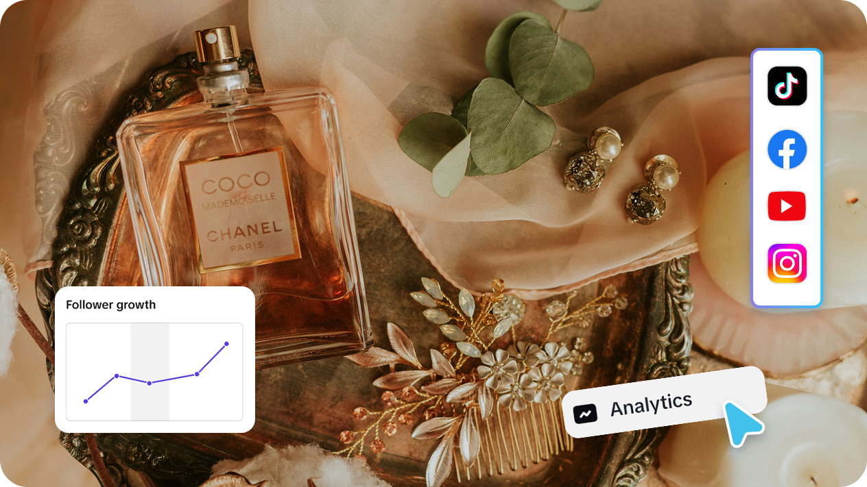 Boost foodie vlogs with performance tracking