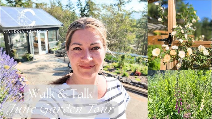 Vlogueiro mostrando plantas do jardim e caminhadas na natureza