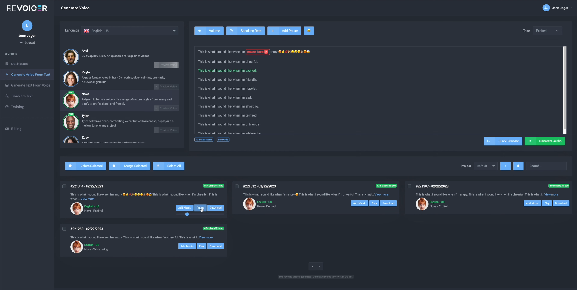 Revoicer's interface