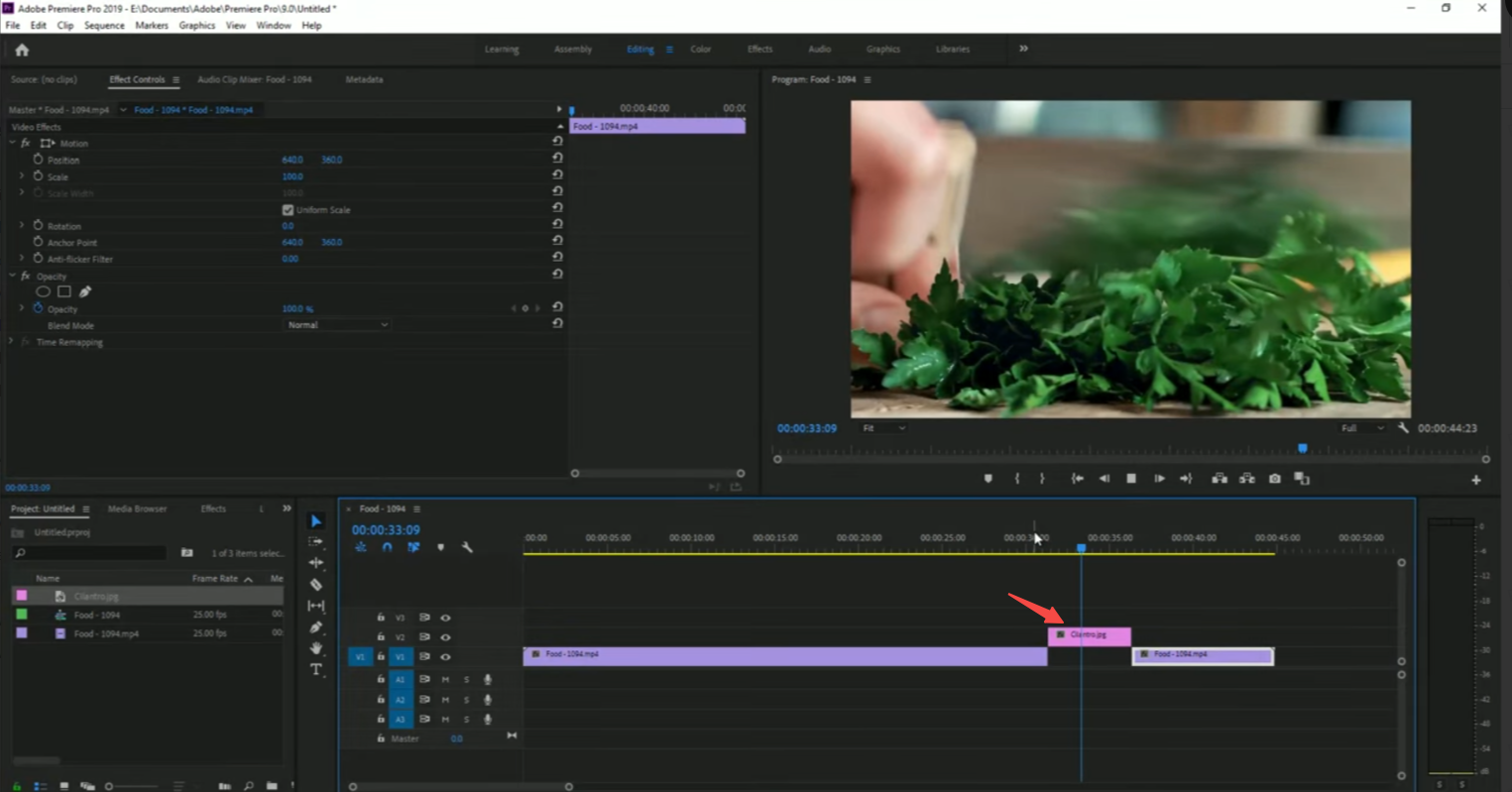 Freeze frame in Premiere Pro