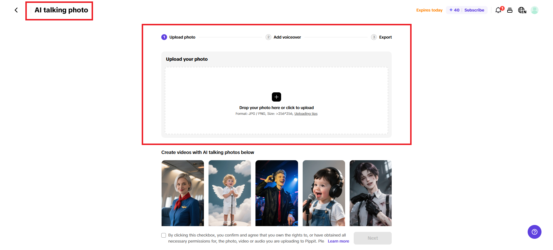 Utilize Pippit's AI talking photos