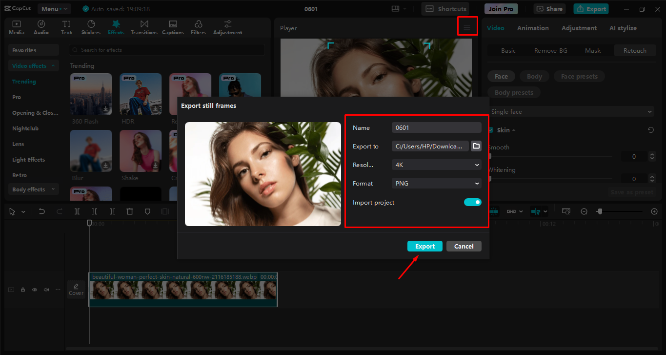 Bild oder Projekt in hoher Auflösung exportieren