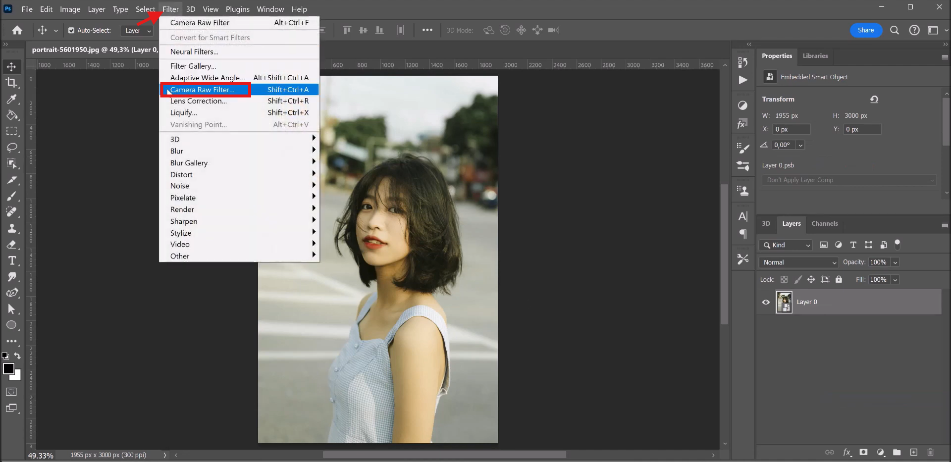 Select the Camera Raw filter