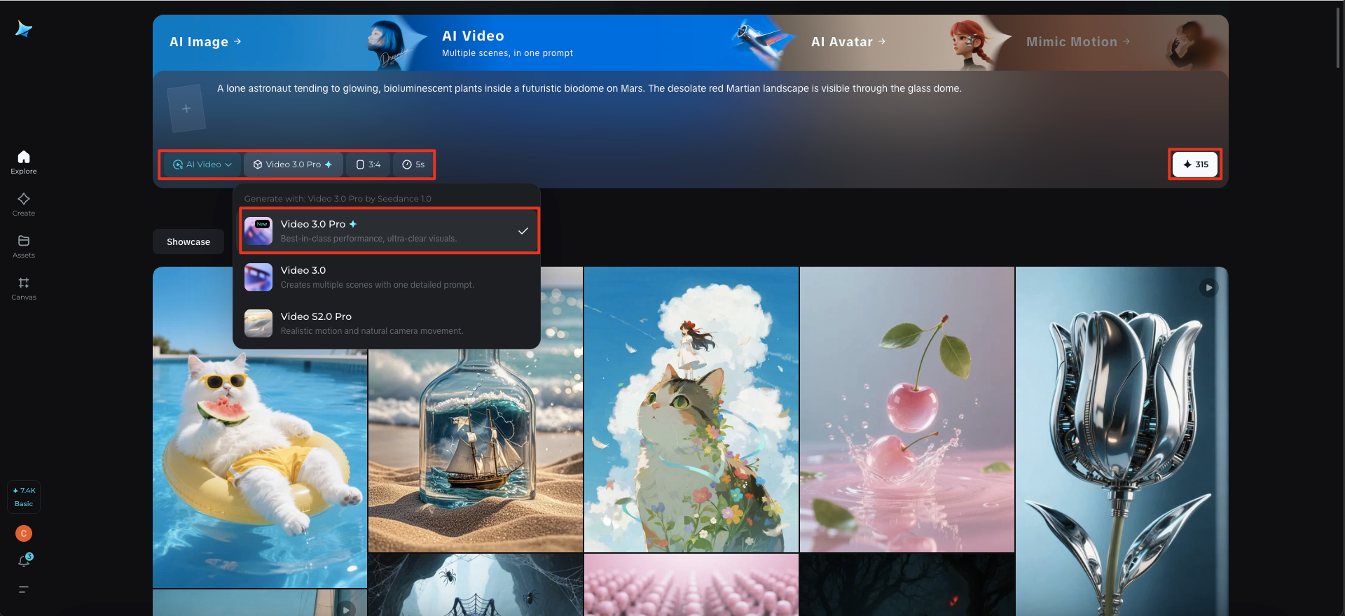 ByteDance seed model