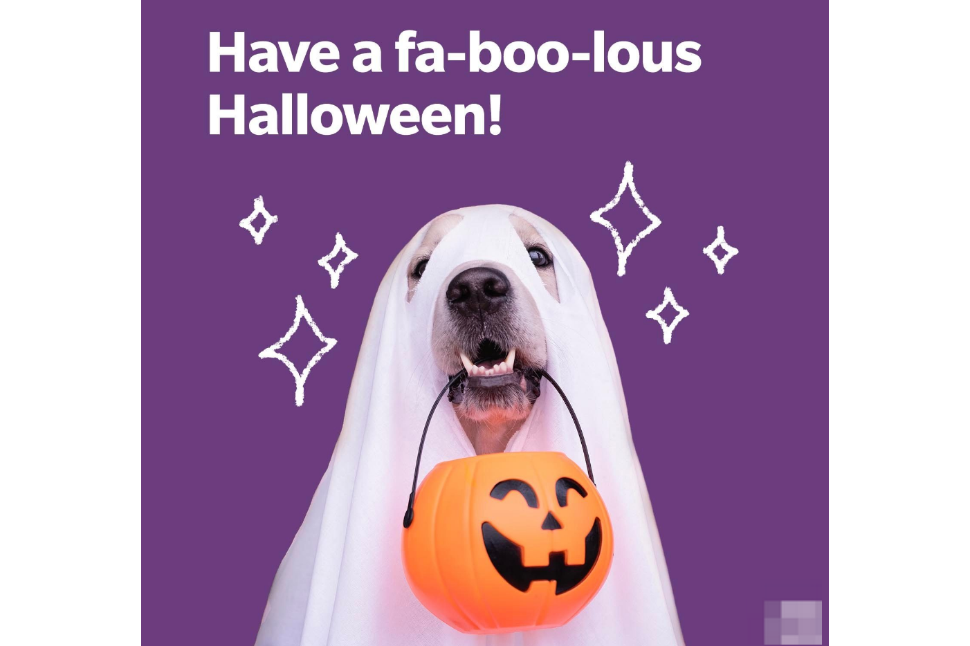 Categories of funny Halloween memes-Ghostly laughs