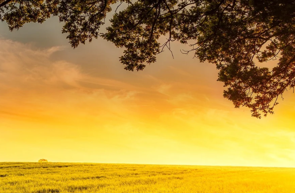 Golden hour photography tips - Make sure to be in a proper geographical orientation