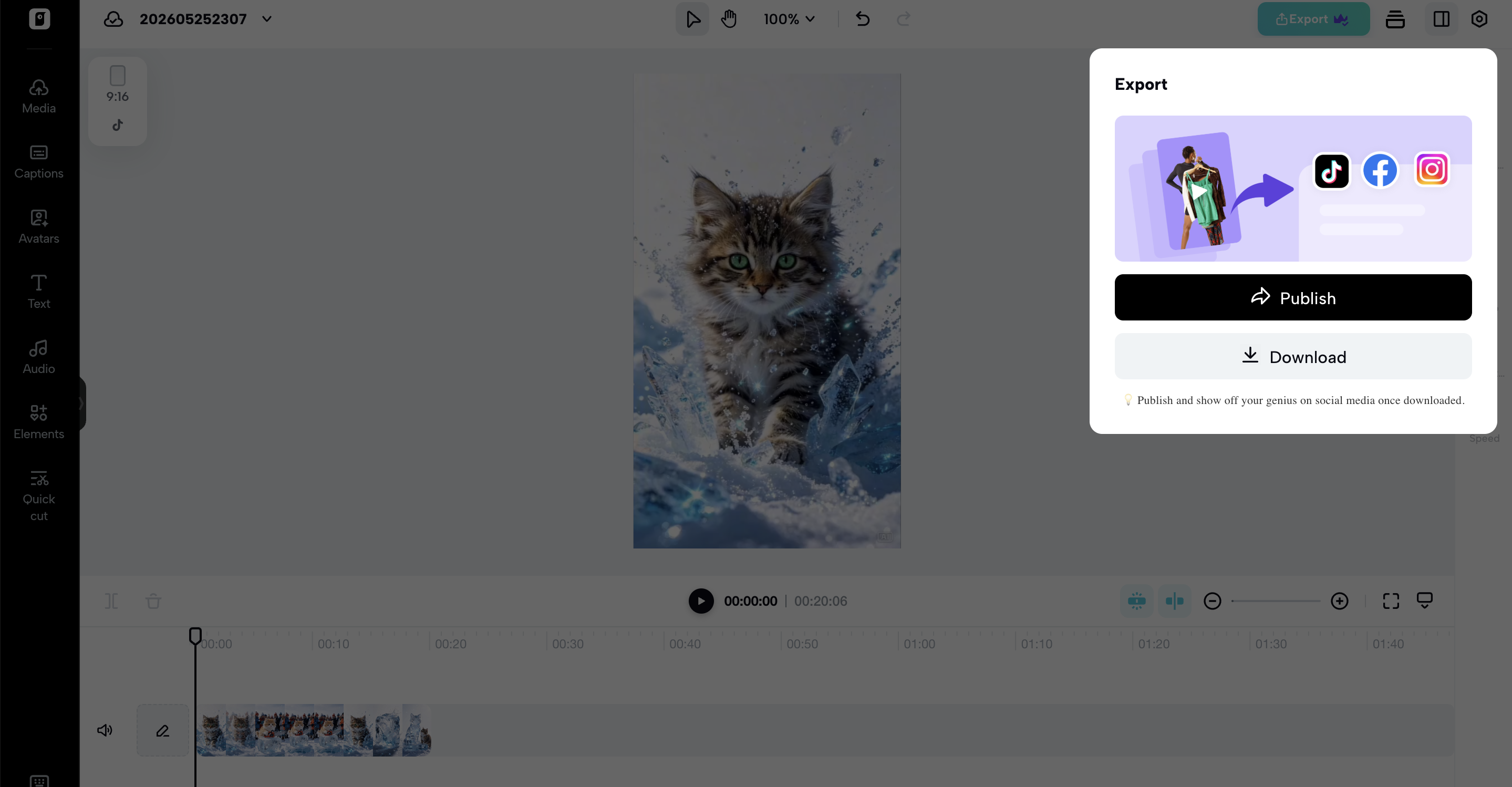 Preview and download