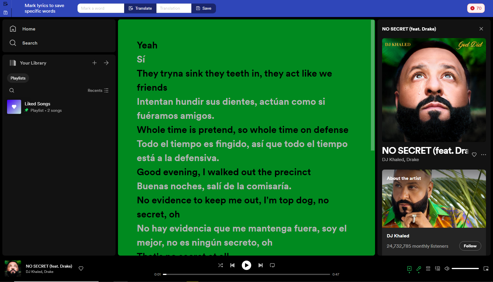 Spotify-Liedtext-Übersetzung