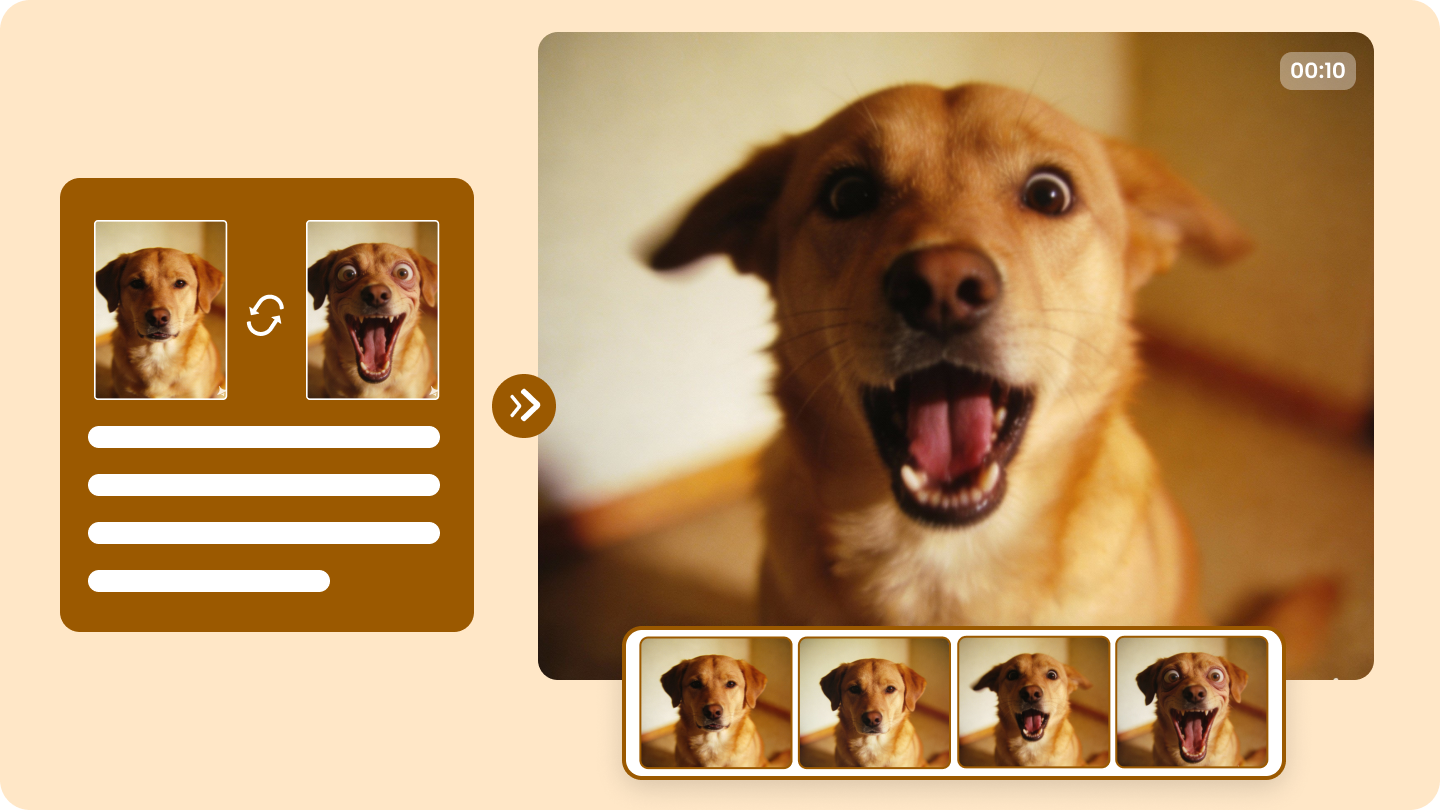 How to Create Memes Video: 3 Quick Ways to Spark Internet Fame