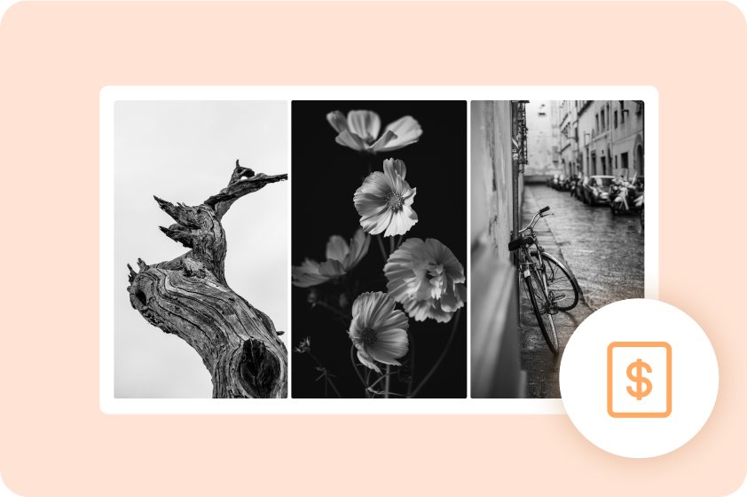  Create quality assets without high software costs