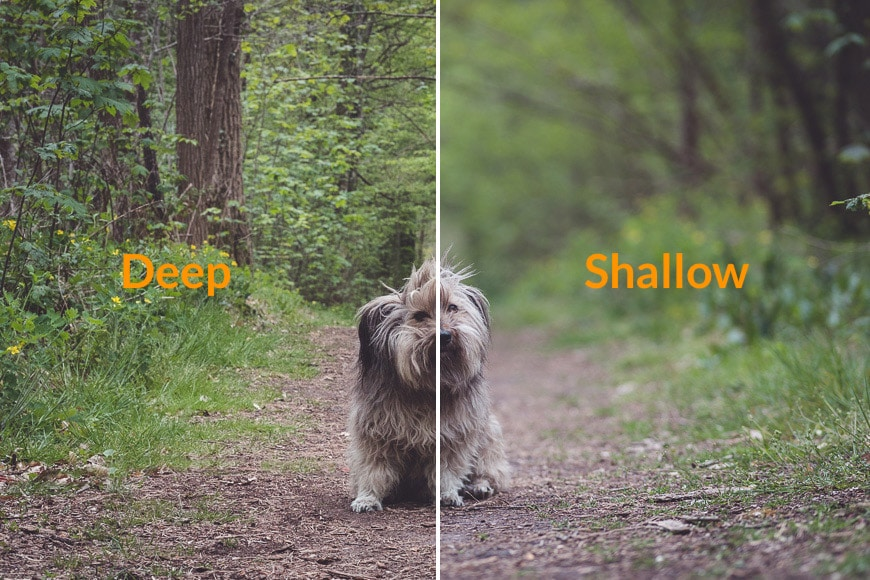 Depth of field in photography