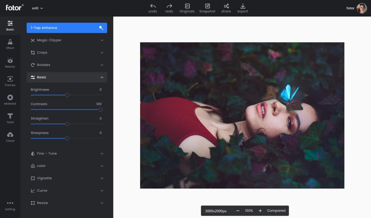 Editor interface of Fotor showing how to relight photo free of cost
