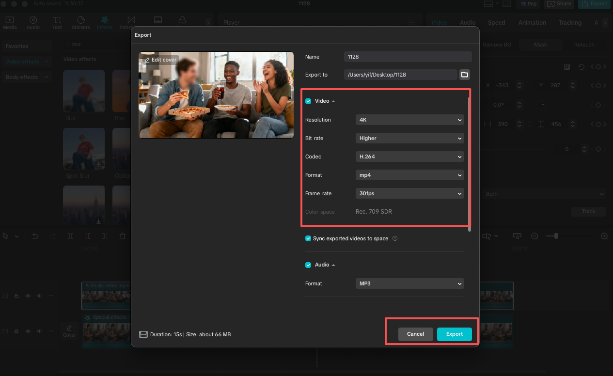 Save Blurred Face Video