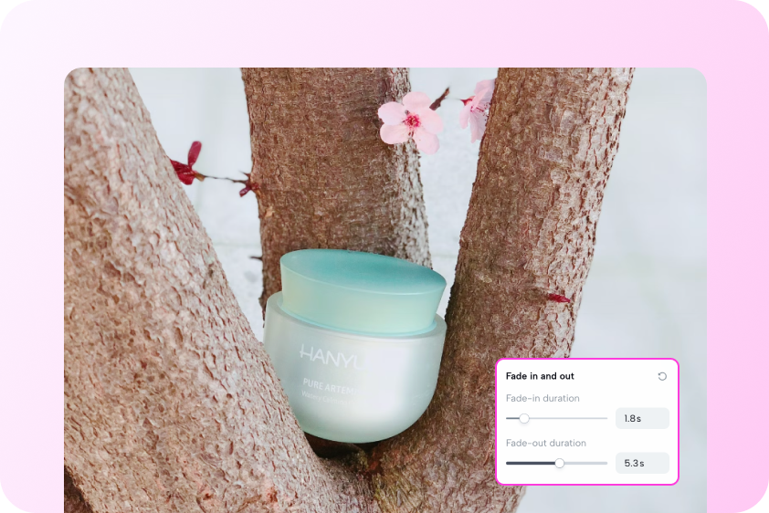 New product launch