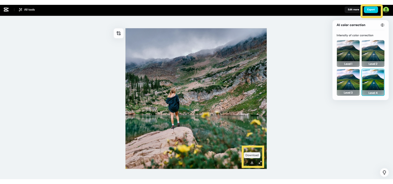 Download or Export
