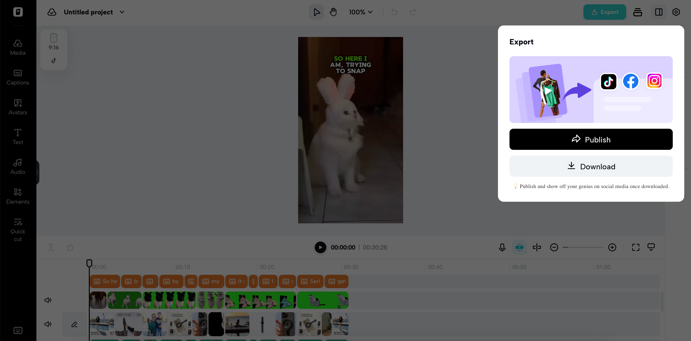 Export your video