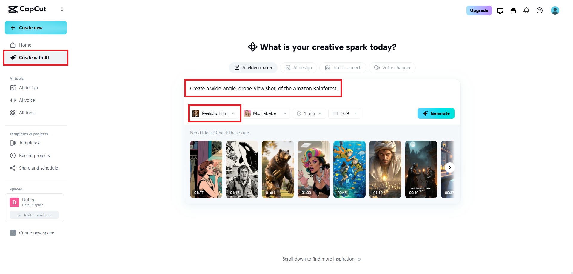Enter your description and select your video style