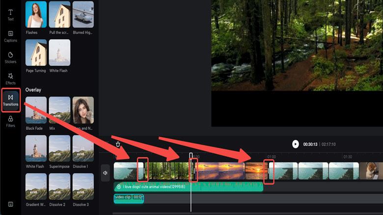 Add transitions to YouTube intros