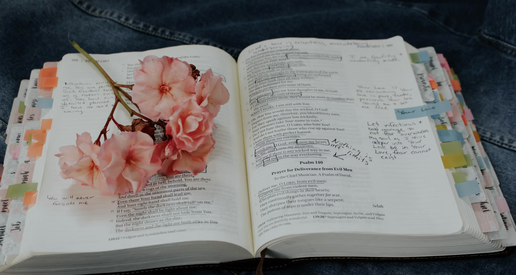 150+ Best Senior Quotes for a Memorable 2025 Yearbook Entry