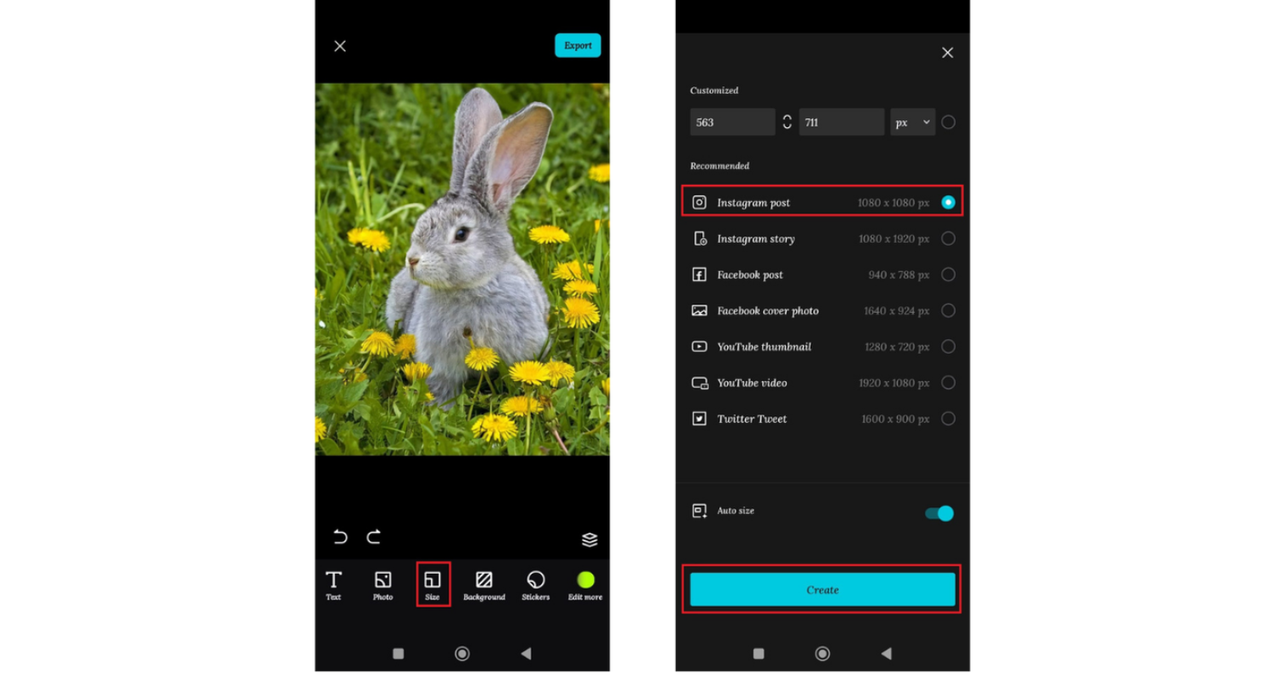 image resizing