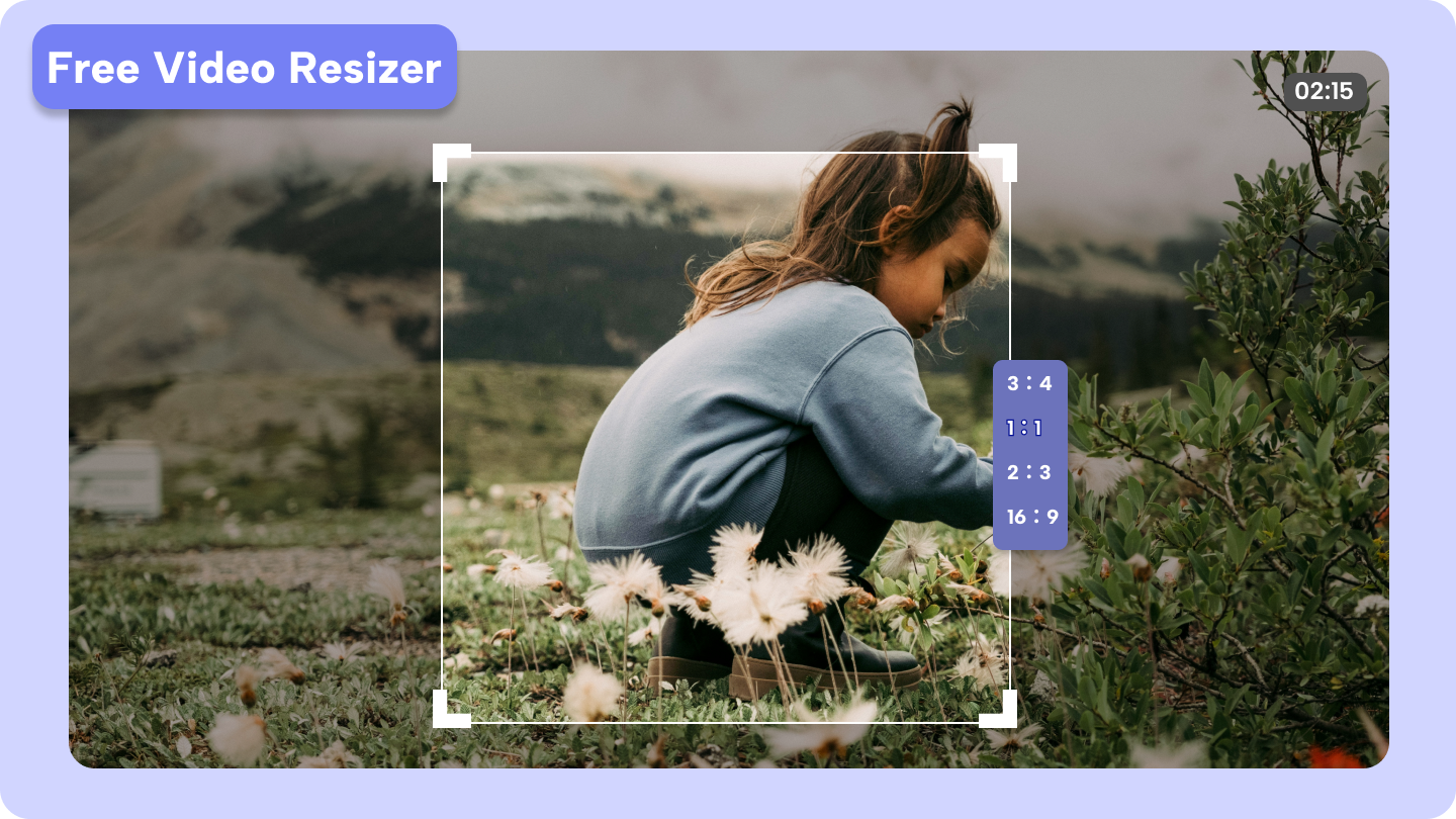 free video resizer