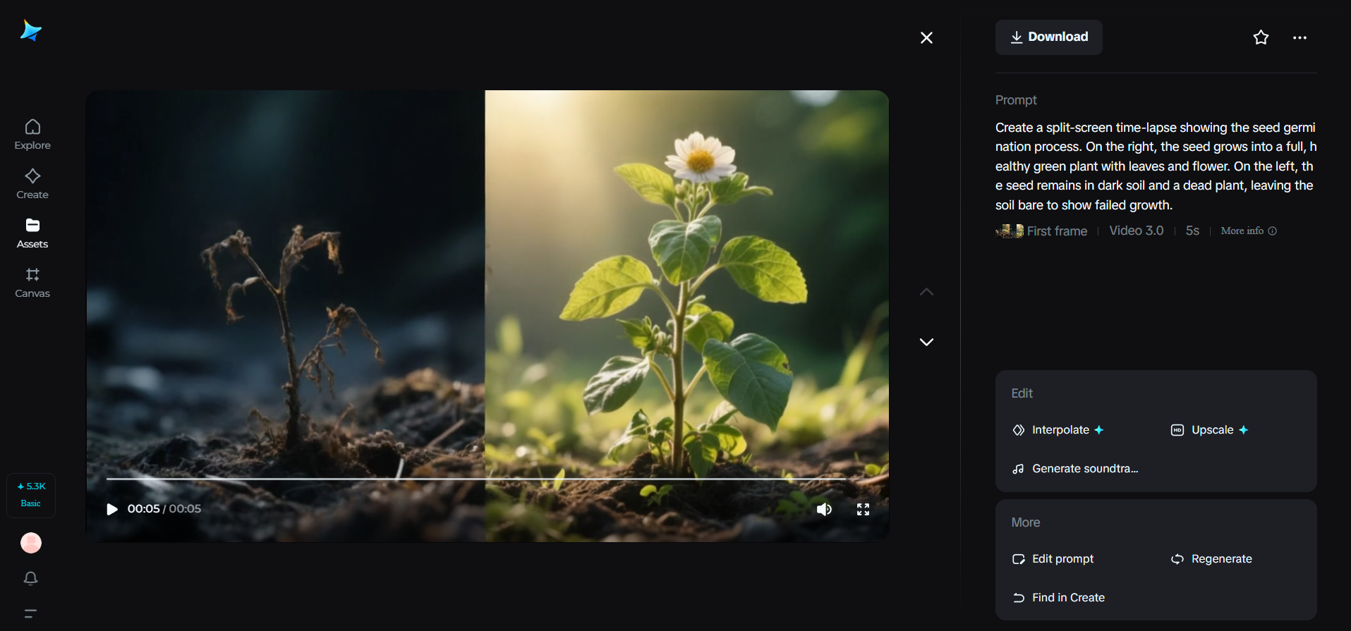 Light vs. dark seed experiment video