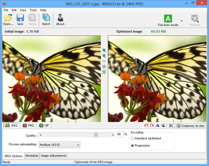 Interface of RIOT - best software for image compression