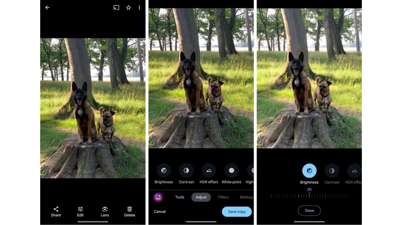 Google Photos interface