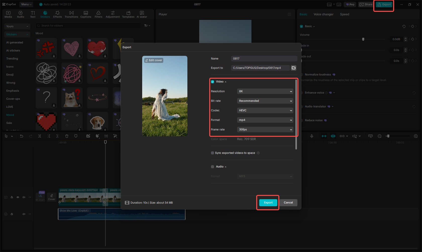 Export the Story video