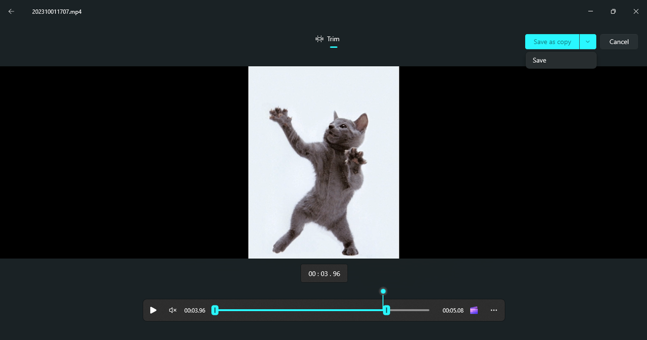 Salva il tuo clip ritagliato.