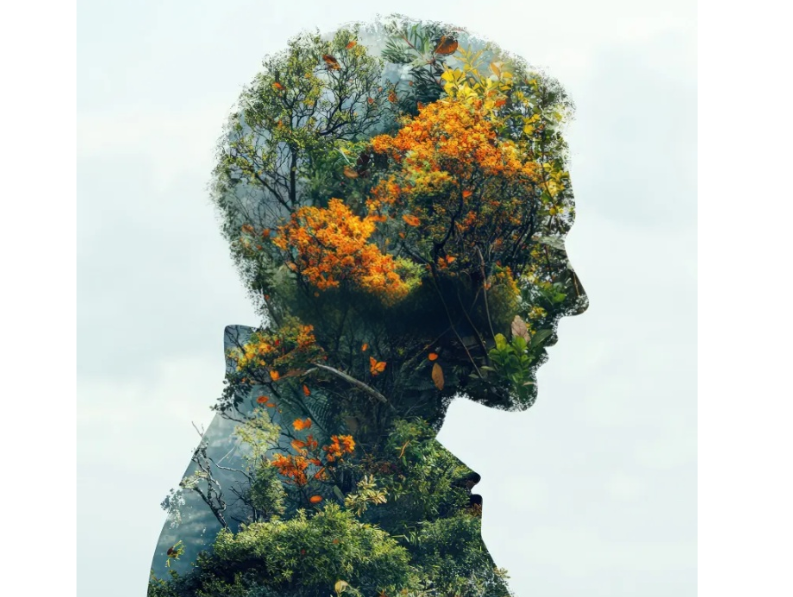 Nature plus human combinations