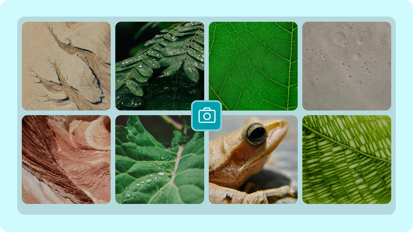 texture photography