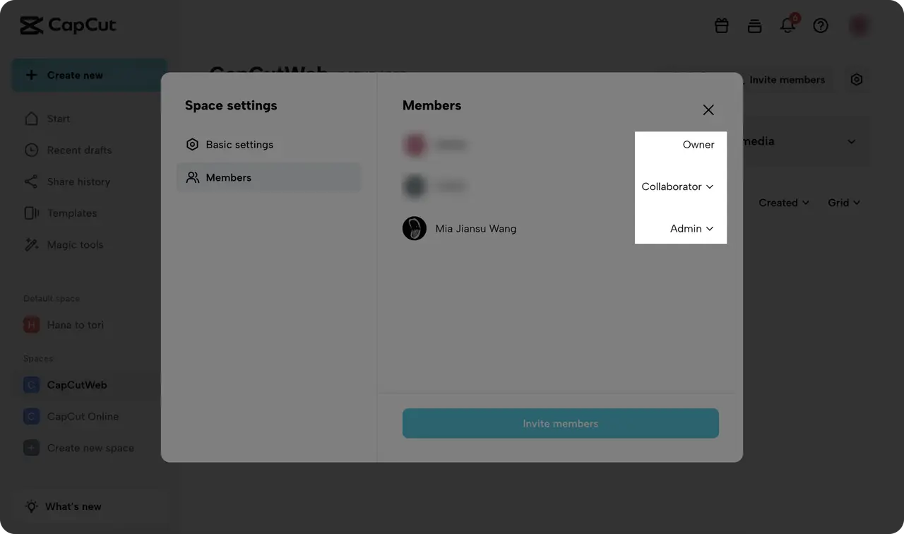Assign permission as Collaborator or Admin