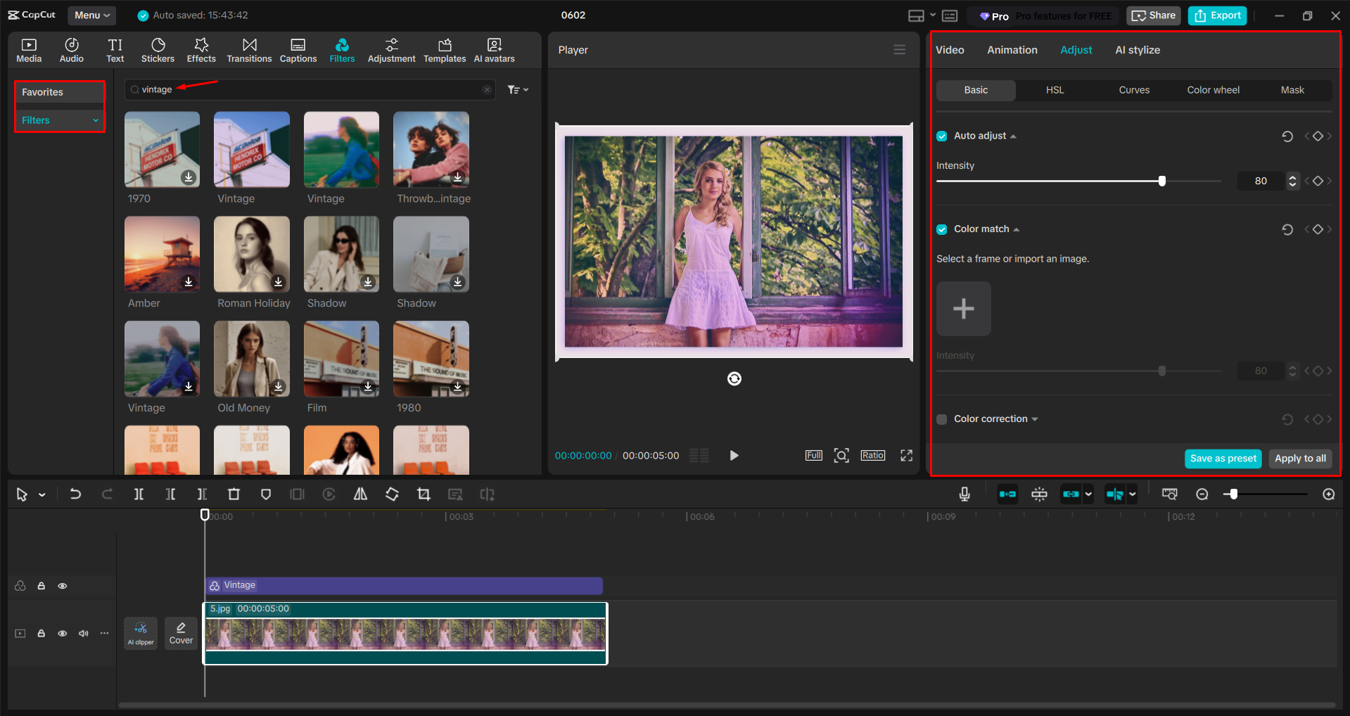 Applying a vintage filter to an image in the CapCut desktop video editor