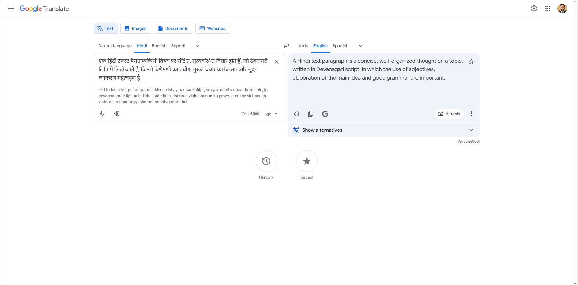 Google Translate Hindi Translate language translation