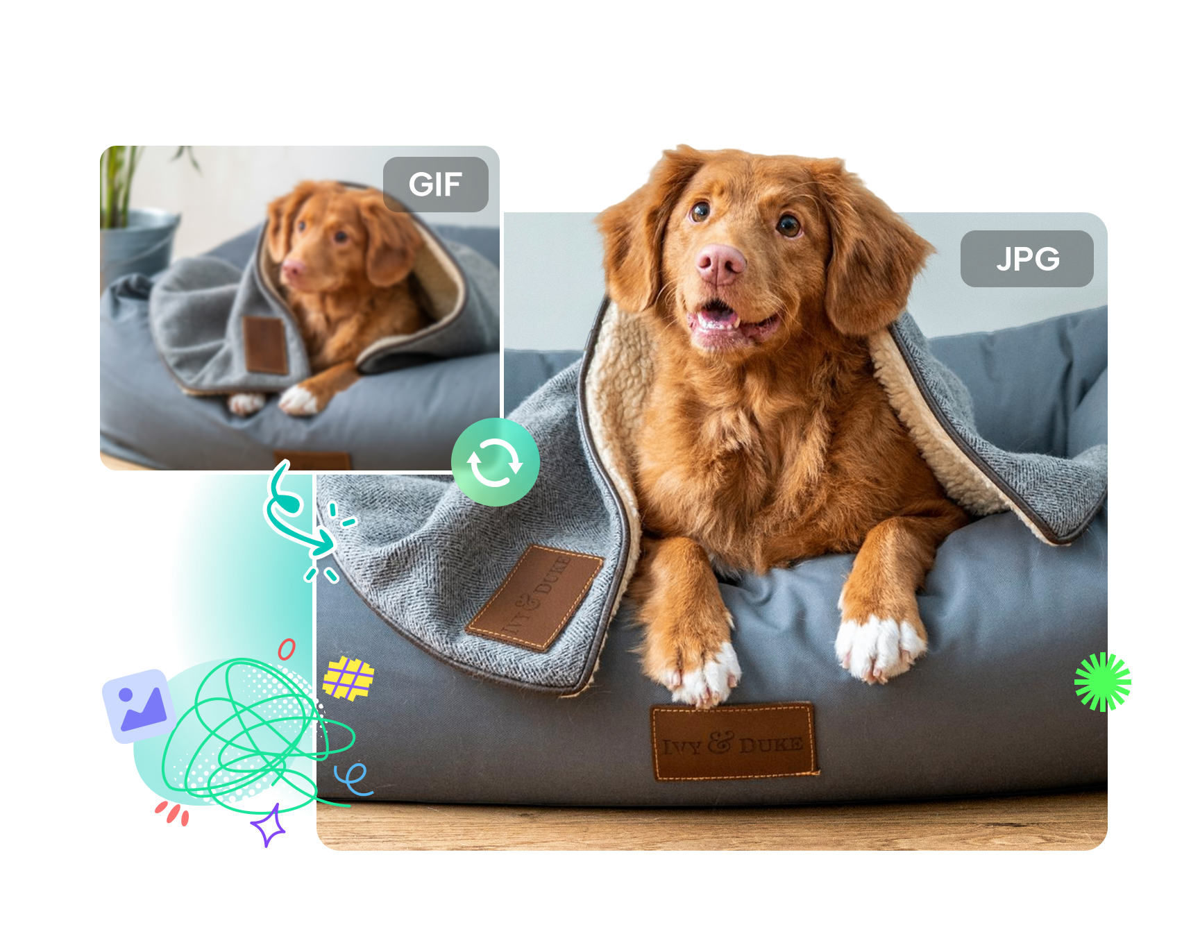 CapCut's GIF to JPG converter