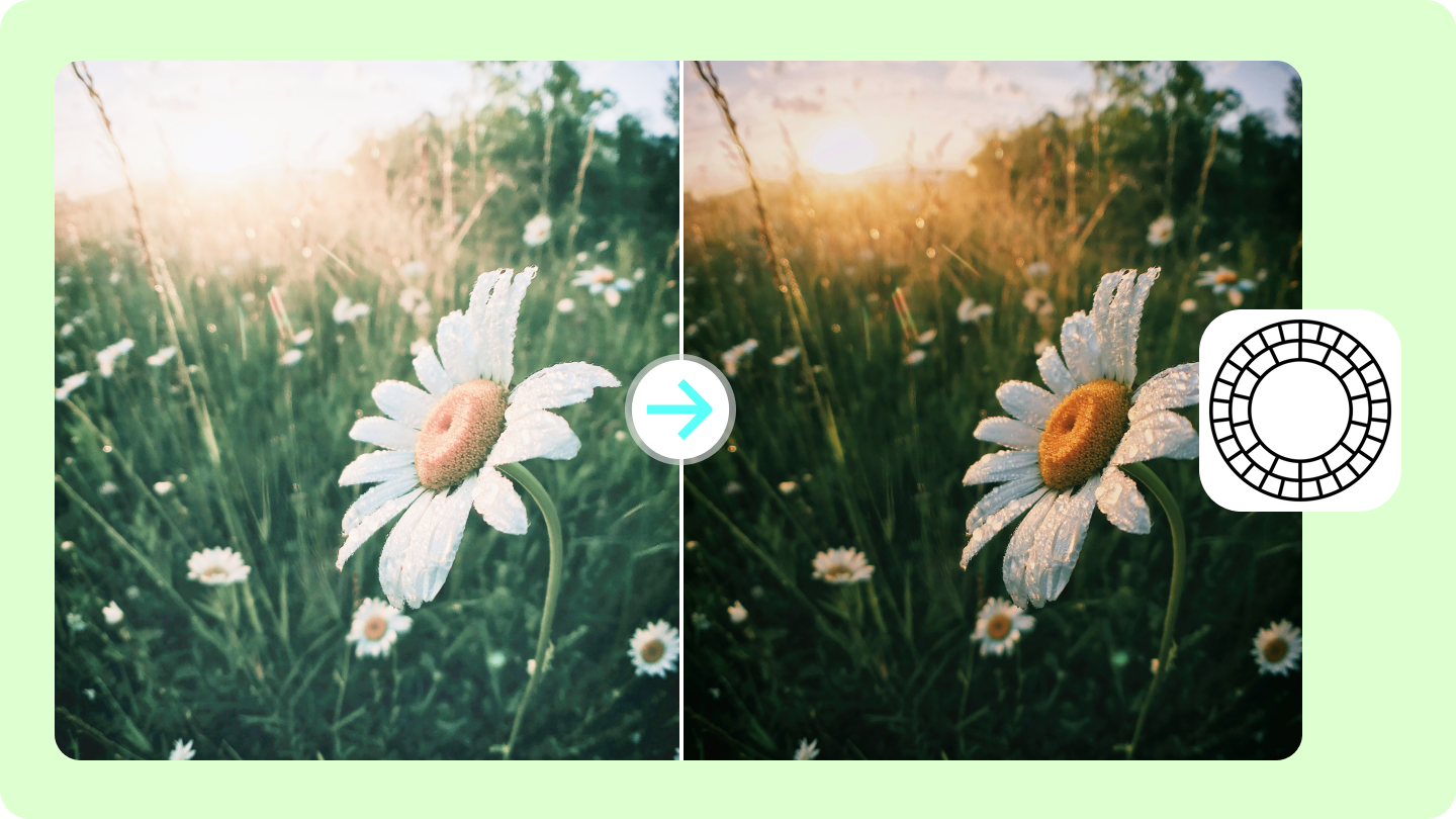 vsco photo editor