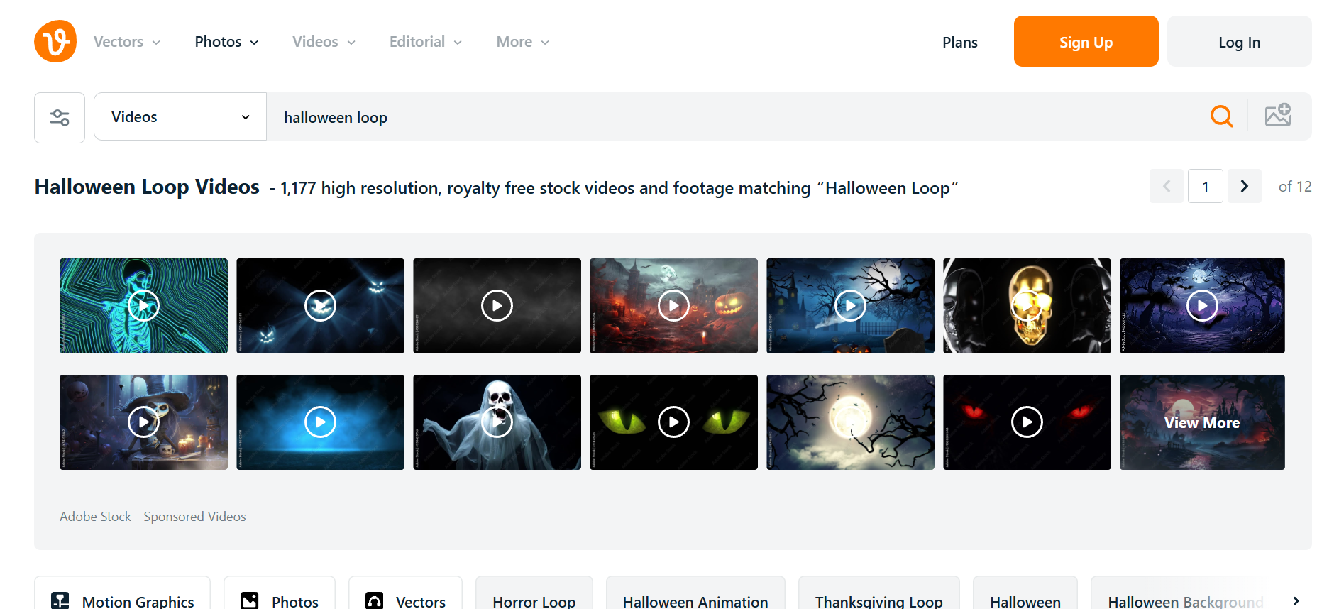 Vecteezy free halloween videos