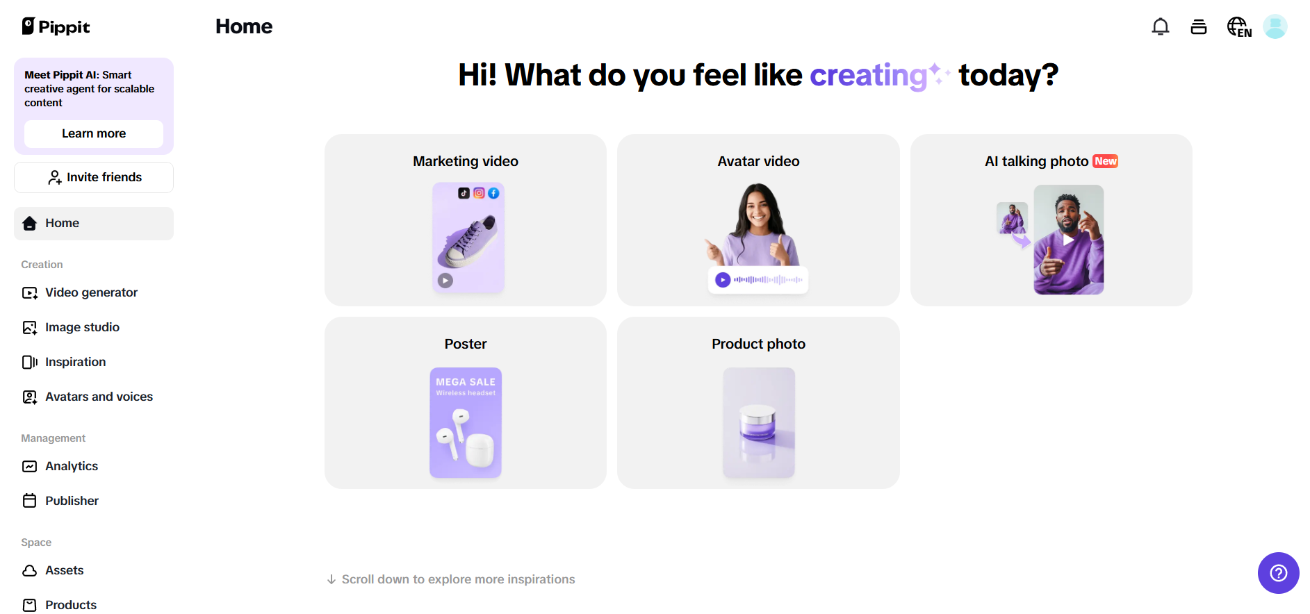 Pippit interface