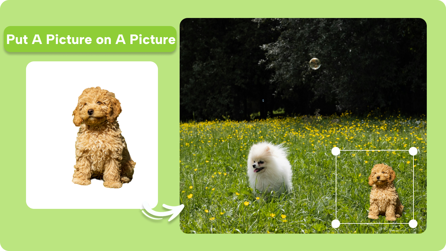 how to put a picture on a picture