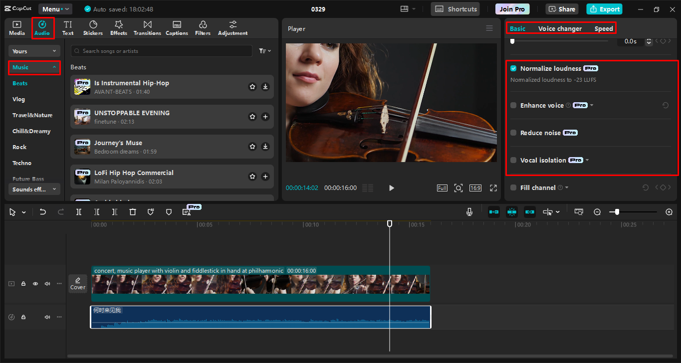 Editing the audio using different tools in the Capcut desktop video editor