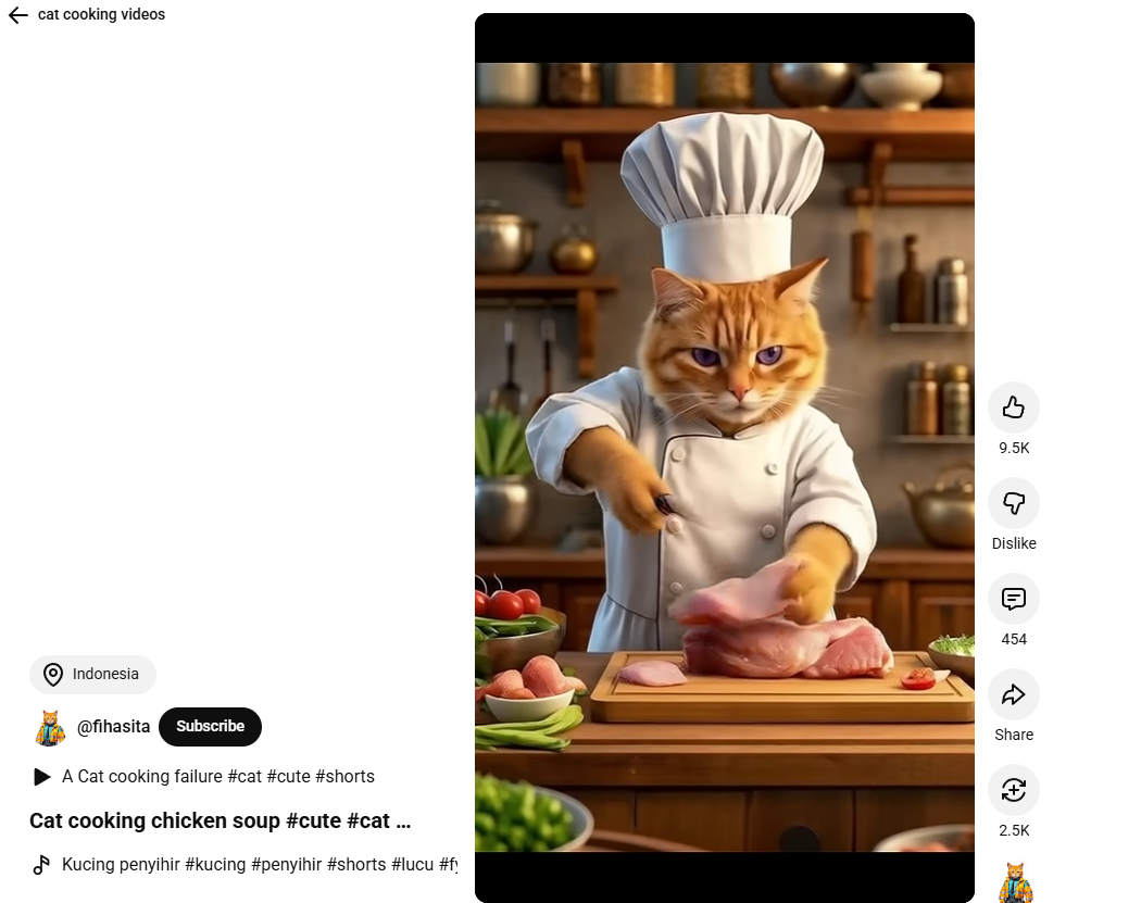 Cat cooking chicken soup
