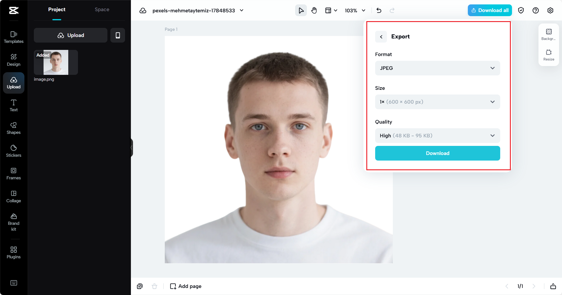 Downlaod settings of your passport photo