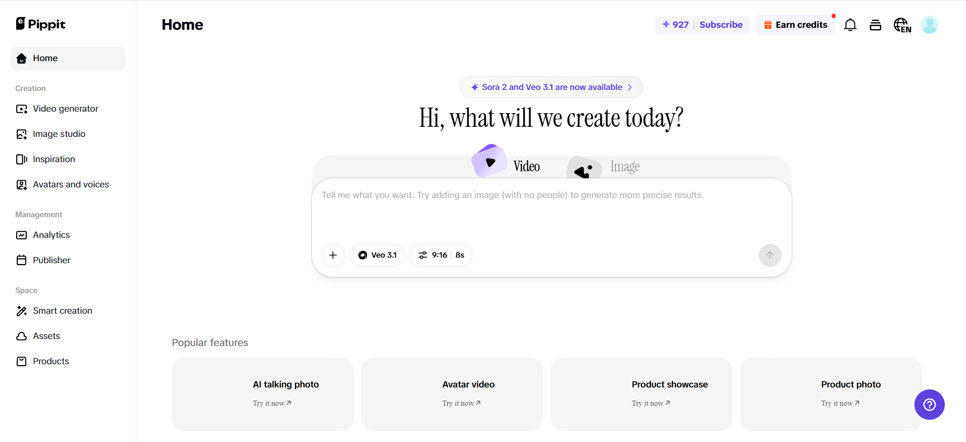 Pippit interface