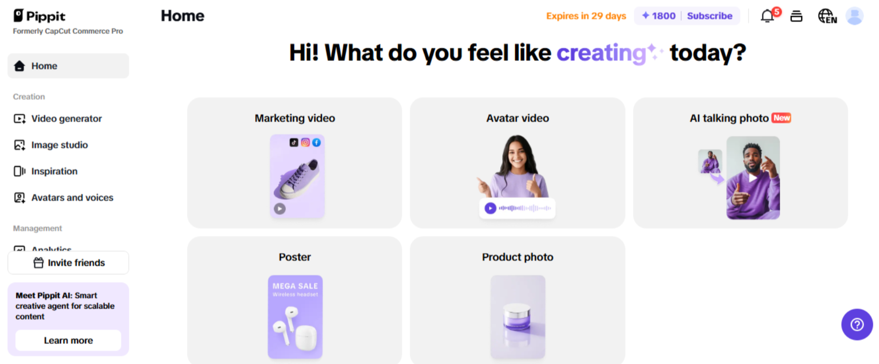 Pippit main Interface
