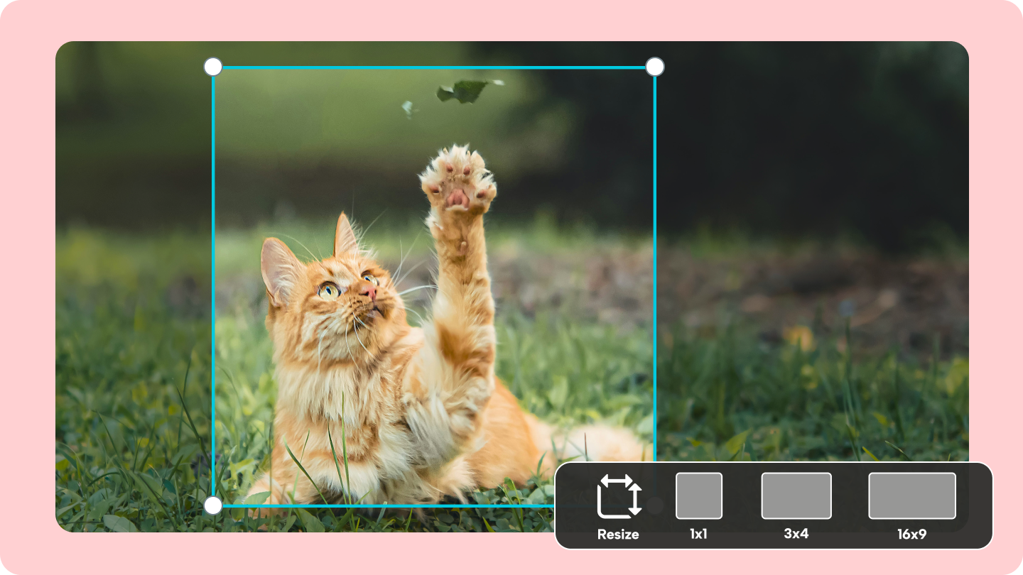 Smart cropping